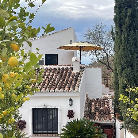 Casa Del Limon Apartment Canillas de Aceituno Luaran gambar