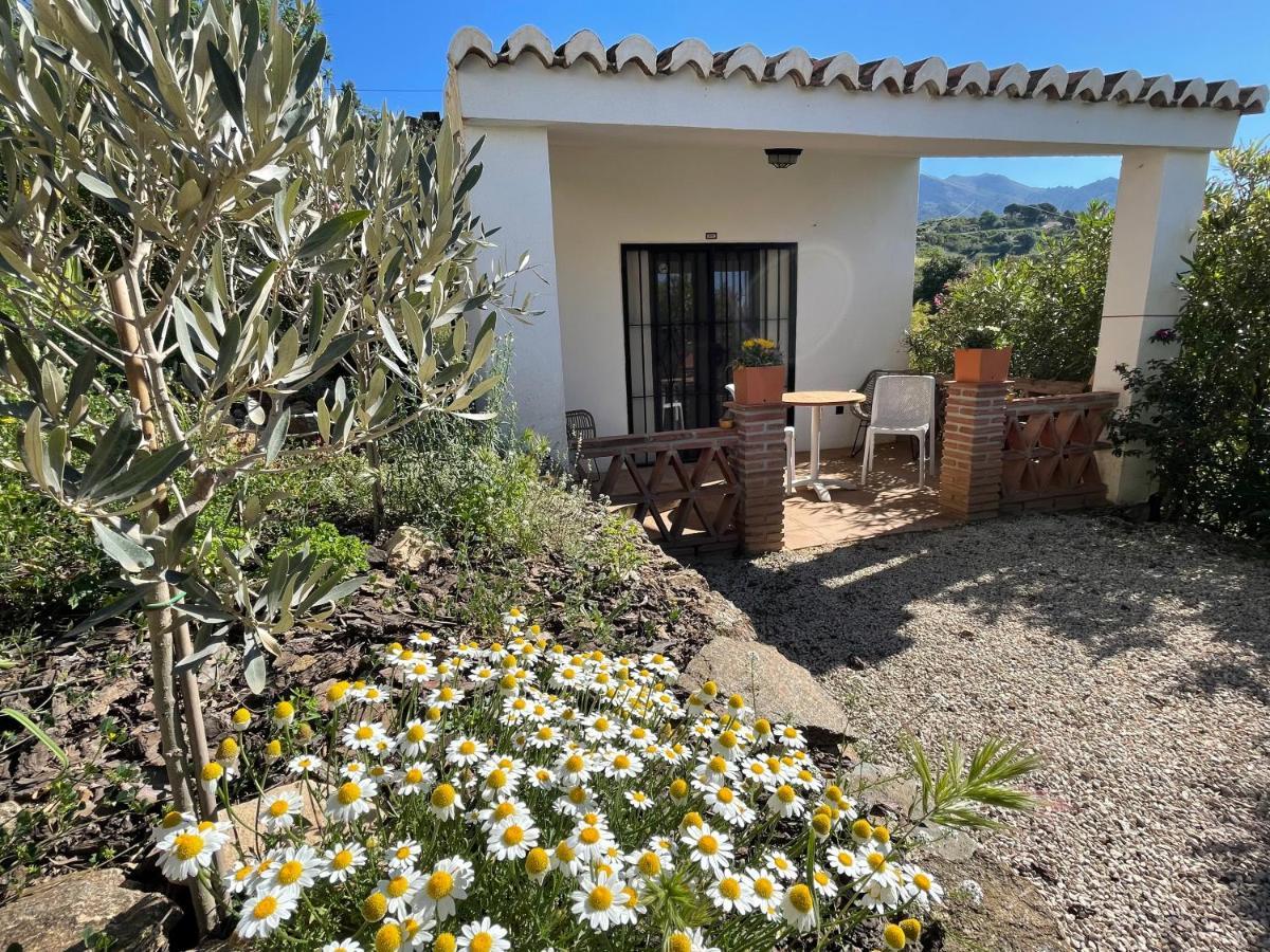 Casa Del Limon Apartment Canillas de Aceituno Luaran gambar